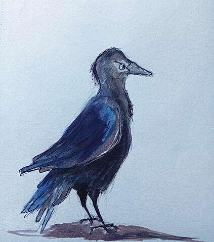 Bob the crow Bob the crow