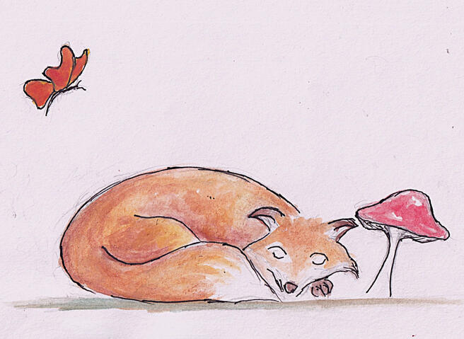 The fox and the robin