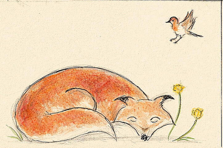 The fox and the robin